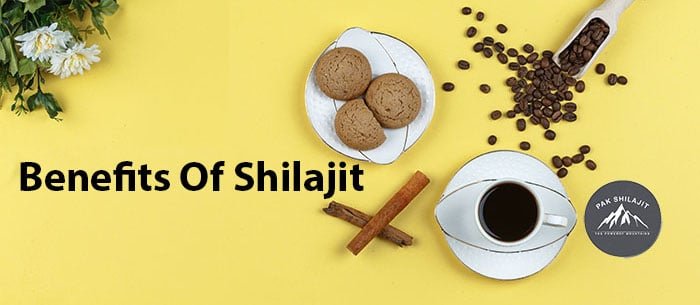 benefits of shilajit